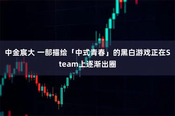 中金宸大 一部描绘「中式青春」的黑白游戏正在Steam上逐渐出圈