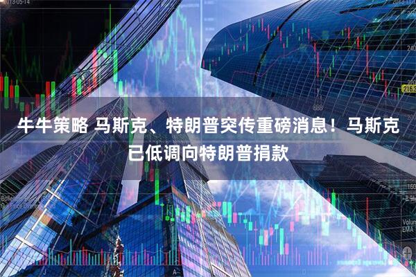牛牛策略 马斯克、特朗普突传重磅消息！马斯克已低调向特朗普捐款