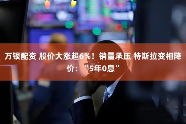 万银配资 股价大涨超6%！销量承压 特斯拉变相降价：“5年0息”