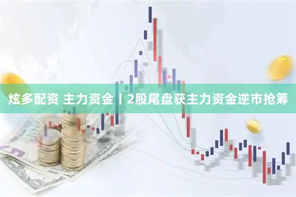 炫多配资 主力资金丨2股尾盘获主力资金逆市抢筹