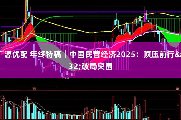 广源优配 年终特稿｜中国民营经济2025：顶压前行 破局突围