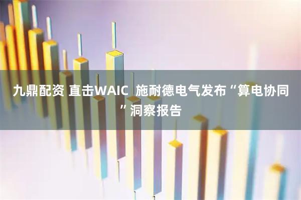 九鼎配资 直击WAIC 施耐德电气发布“算电协同”洞察报告